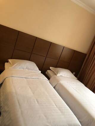 Отель Kirovakan Hotel Ванадзор Двухместный номер Делюкс с 2 отдельными кроватями-4